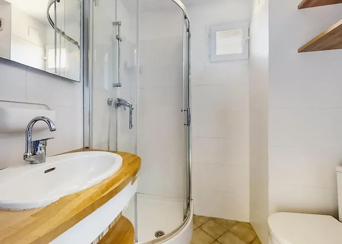 Pet Friendly In Apartment