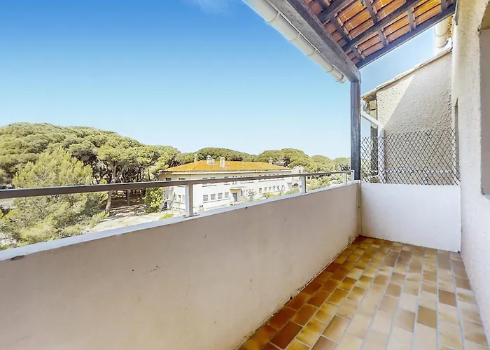 Pet Friendly In Apartment Hyeres